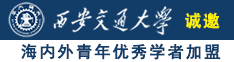 阴茎在寡妇阴道抽插在线视频诚邀海内外青年优秀学者加盟西安交通大学